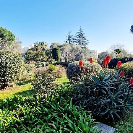 Studio Antibes Avec Piscine Ngoại thất bức ảnh