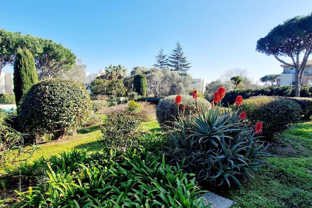 Studio Antibes Avec Piscine Ngoại thất bức ảnh